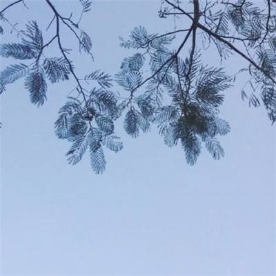 热血街球手游(暂未上线)v1.0 安卓版