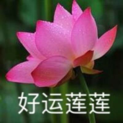 超变龙皇变态版下载